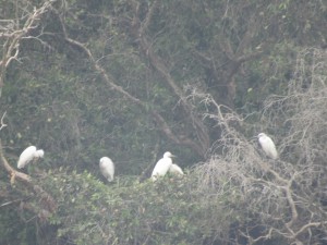 IMG_5087[1]