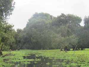 IMG_5108[1]