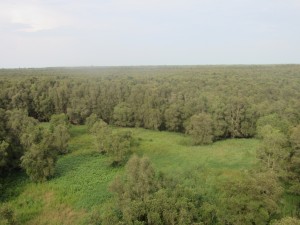 IMG_5120[1]